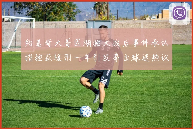 约基奇大哥因湖掘大战后事件承认指控获缓刑一年引发拳击球迷热议