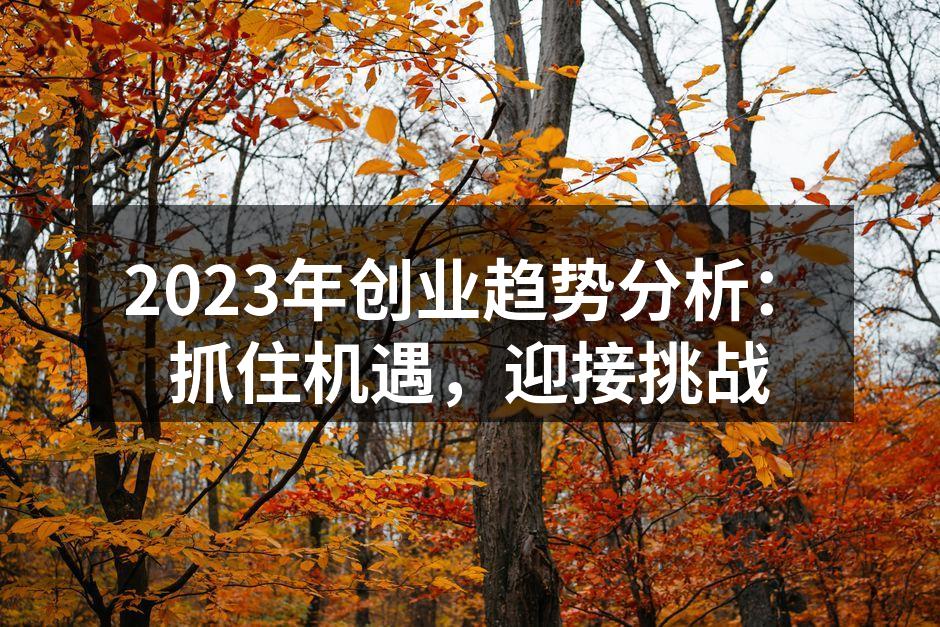 2023年创业趋势分析：抓住机遇，迎接挑战